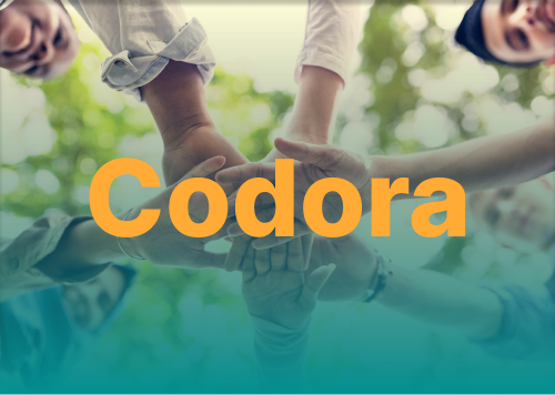 Codora Webdesign Agentur